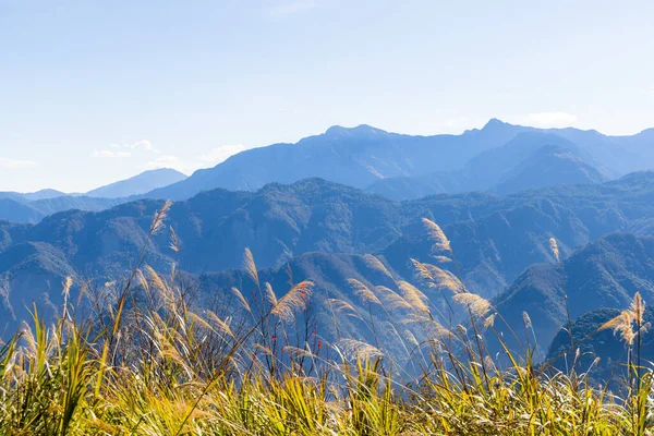 Gyönyörű Kilátás Nyílik Hegyre Alishan Nemzeti Erdő Szabadidős Terület Tajvan — Stock Fotó