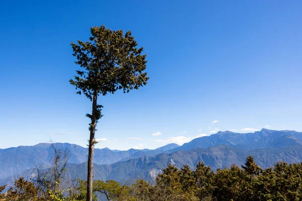 Paisaje Hermoso Paisaje Alishan Área Recreación Forestal Nacional Taiwán — Foto de Stock