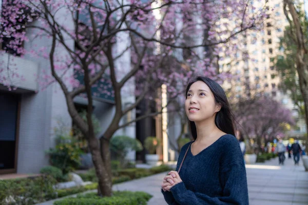 Donna Andare Viaggiare Nella Città Taipei Con Sacco Albero Sakura — Foto Stock