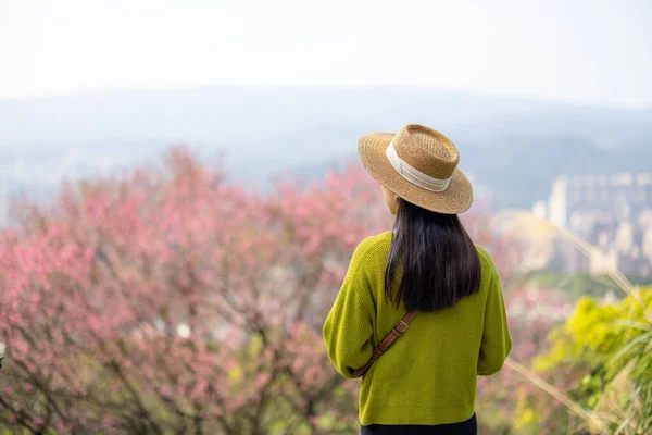 旅の女性は桜の木を楽しむ — ストック写真