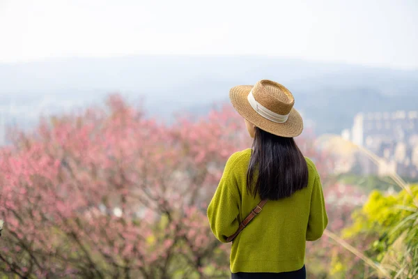 Cestovní Žena Vychutnat Sakura Strom — Stock fotografie