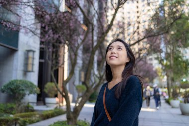 Kadın, şehirdeki sakura ağacına bak.