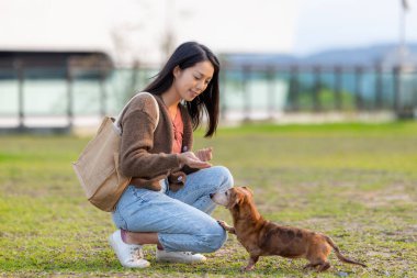 Hayvan sahibi köpeği ile parkta antrenman yapıyor.