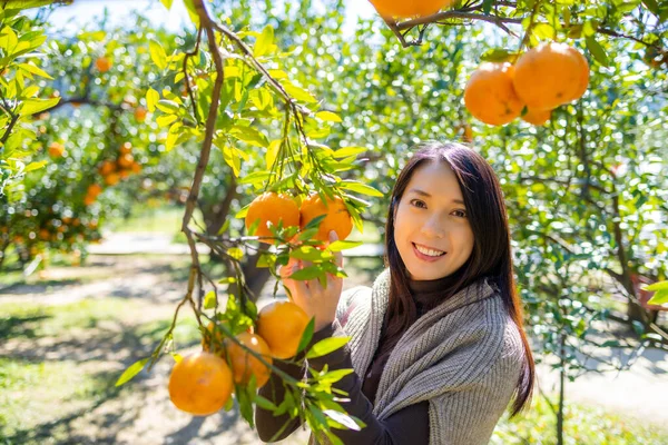 Vrouw Bezoek Biologische Oranger Boerderij — Stockfoto