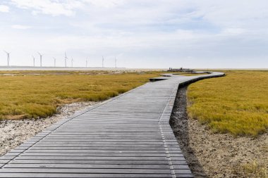 Tayvan 'ın Taichung bölgesindeki Gaomei Bataklıkları