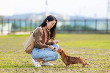 Hayvan sahibi köpeği ile parkta antrenman yapıyor.