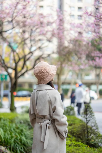 女人喜欢看樱花树 — 图库照片