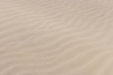 Kumsal desenli arka plan