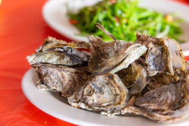 Succulent raw oysters on plate