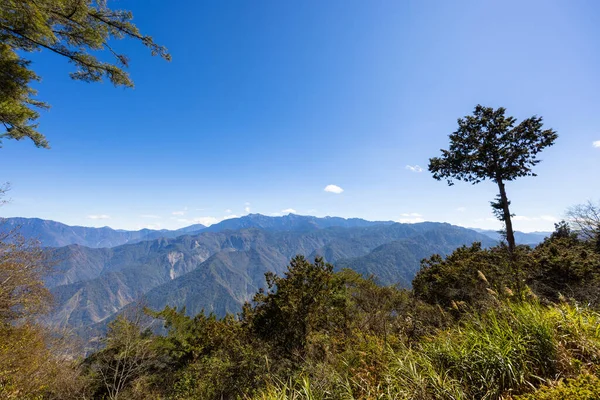 Beautiful scenery landscape in Alishan national forest recreation area in Taiwan