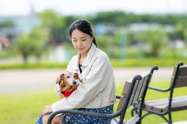 女は公園に行くと彼女のダックスフンド犬とベンチに座って — ストック写真