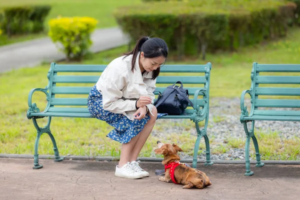 Mujer Alimentar Perro Salchicha Parque — Foto de Stock