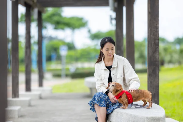 Kvinna Till Parken Med Sin Tax Hund — Stockfoto