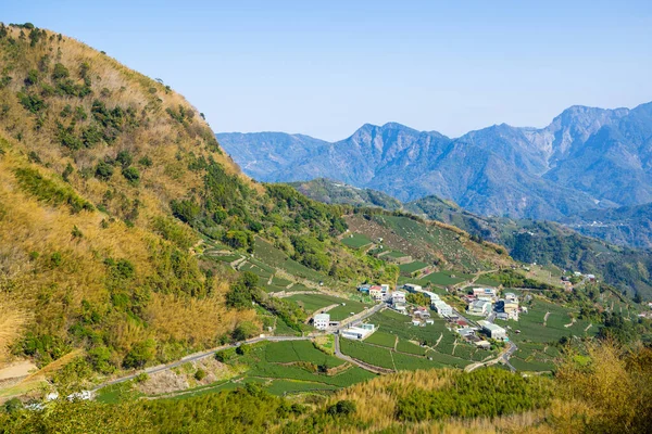 台湾示好阿连山山上的许多茶田 — 图库照片