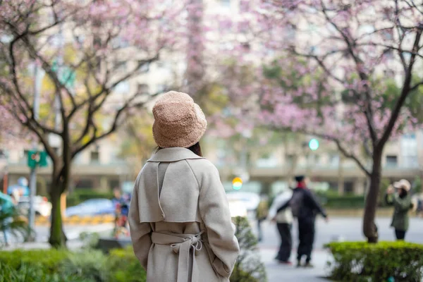 女人看着城里的樱花树 — 图库照片