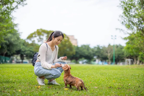 女性は公園で彼女の犬を養う — ストック写真