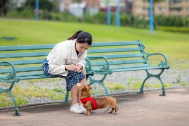 Kadın parkta köpeğini besliyor.