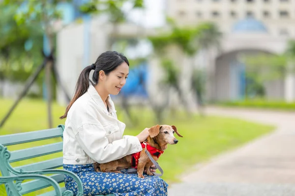 Woman Park Sit Bench Her Dachshund Dog — Stock Photo, Image