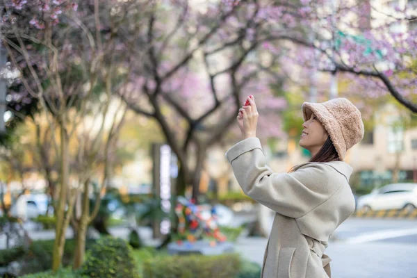 Kadın, Sakura ağacının fotoğrafını çekmek için cep telefonu kullanıyor.
