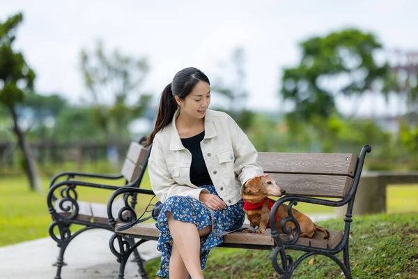 女は公園に行くと彼女のダックスフンド犬とベンチに座って — ストック写真