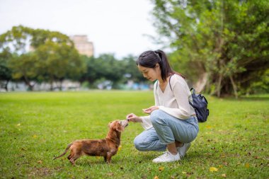 Kadın parkta köpeğini besliyor.
