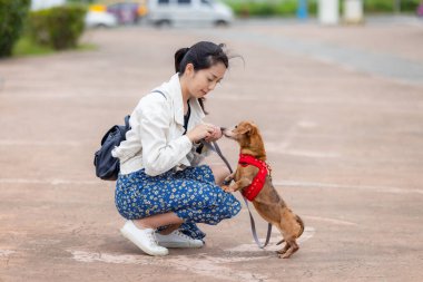 Asyalı kadın parkta köpeğini besliyor.