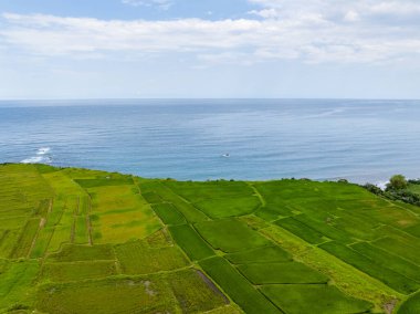 Tayvan Hualien pirinç tarlası Fengbin Kasabası 'nda, Sahil Taşı Basamağı Gemiciliği