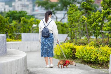 Dachshund köpeğiyle parkta yürüyen bir kadın.