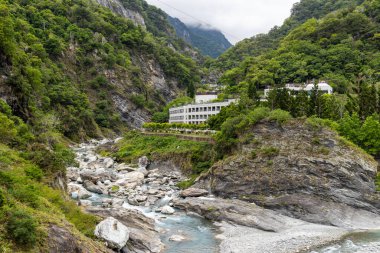 Liwu Nehri Vadisi ve Taroko Ulusal Parkı 'ndaki yüksek dağ yamacı.