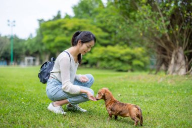 Kadın parkta köpeğini besliyor.