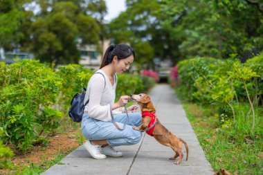 Kadın parkta köpeğini besliyor.