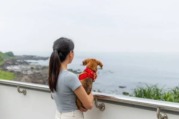 Kvinna Kramas Med Sin Hund Och Titta Havet Tillsammans — Stockfoto