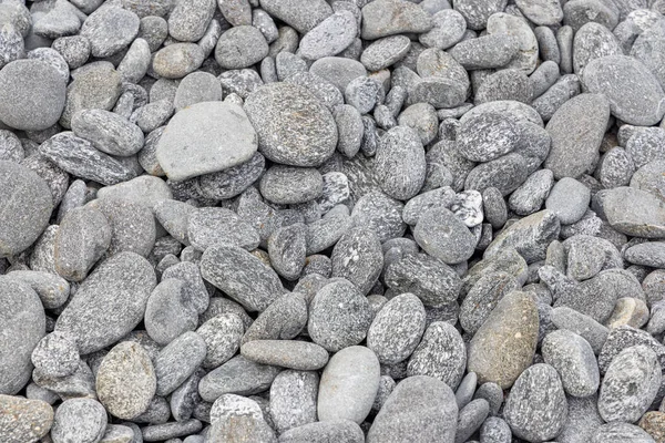 海岸の小石の背景 — ストック写真