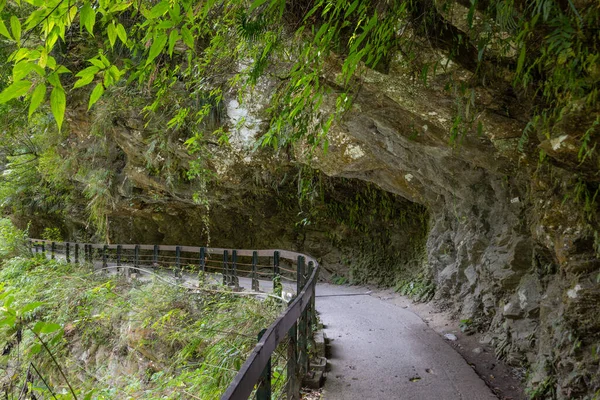 Hualien Taroko Gorge Shakadang Güzel Yürüyüş Parkuru — Stok fotoğraf