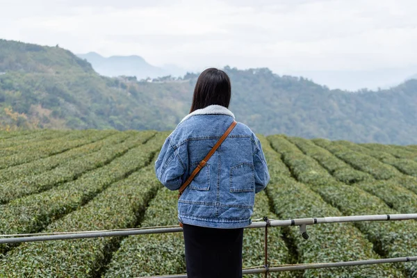 Turystka Podziwiać Widok Pole Herbaty — Zdjęcie stockowe
