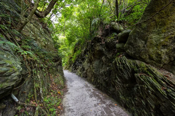 Bela Trilha Caminhada Hualien Taroko Gorge Shakadang — Fotografia de Stock
