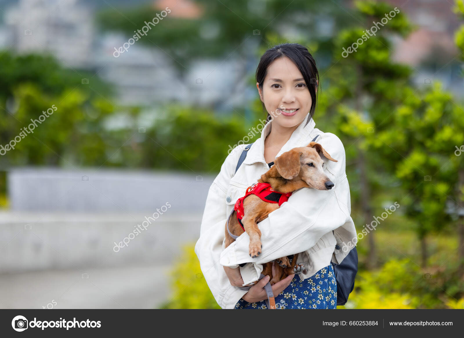 Woman Hug Her Dachshund Dog Park Stock Photo by leungchopan 660253884