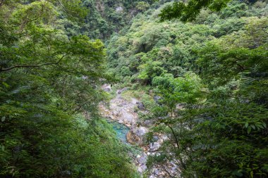 Hualien Taroko Boğazı 'ndaki güzel su birikintisi nehri. 