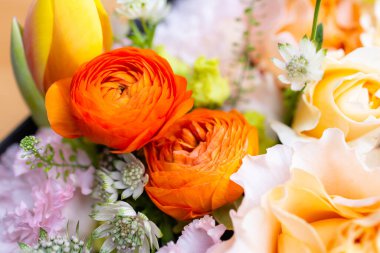 Set of flower box with different flower