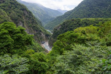 Tayvan 'ın Hualien bölgesindeki Tayvan Taroko Milli Parkı