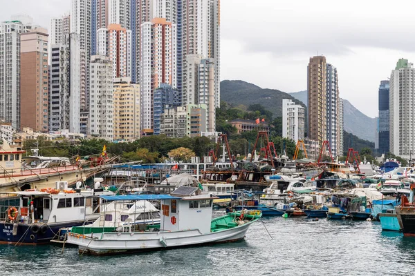Hong Kong Enero 2022 Puerto Pesquero Lei Chau Hong Kong — Foto de Stock