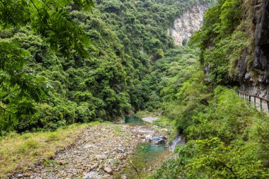 Tayvan Hualien 'daki Taroko Ulusal Parkı