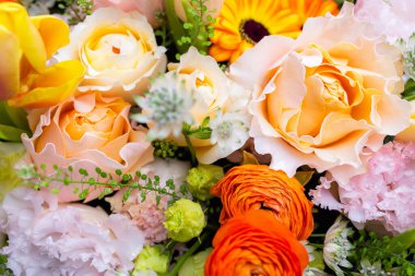 Set of flower box with different flower