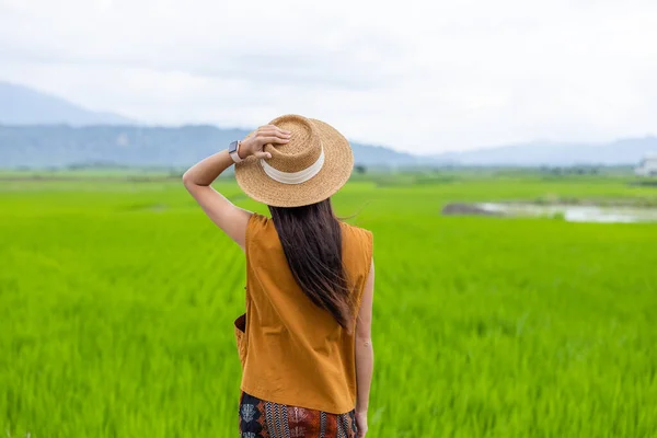 Travel Woman Enjoy Rice Field Τοπίο Θέα Στην Ύπαιθρο — Φωτογραφία Αρχείου