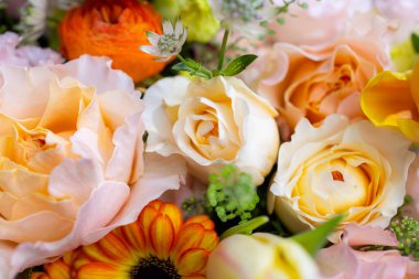 Set of flower box with different flower