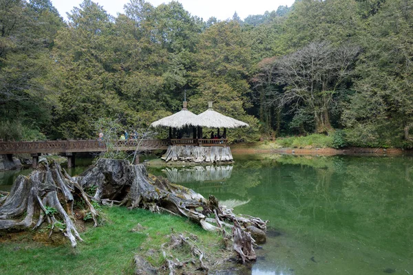 Lagoa Água Irmã Floresta Alishan — Fotografia de Stock