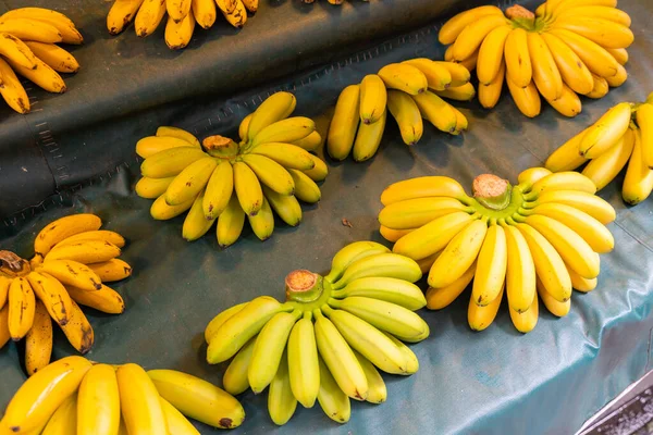 Sprzedaż Bananów Stole Mokrym Rynku — Zdjęcie stockowe
