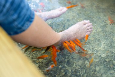 Pedikür balığı ayak banyosu kaplıca tedavisi