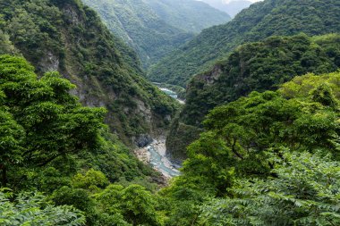 Tayvan Hualien 'daki Taroko Ulusal Parkı