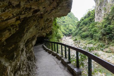 Hualien Taroko Gorge Shakadang 'da güzel yürüyüş parkuru.